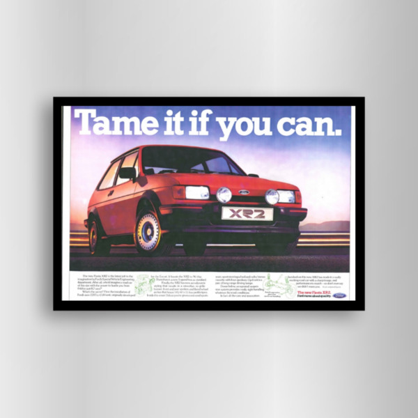 XR2 Tame it if you can - Framed Art Print (Landscape)