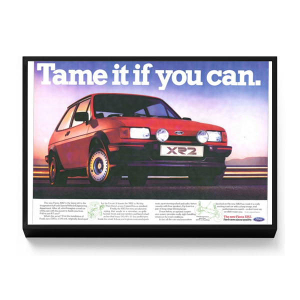 XR2 Tame it if you can - Framed Canvas 18"x12" (Landscape)