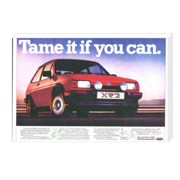 XR2 Tame it if you can - Canvas Print 18"x11" (Landscape)