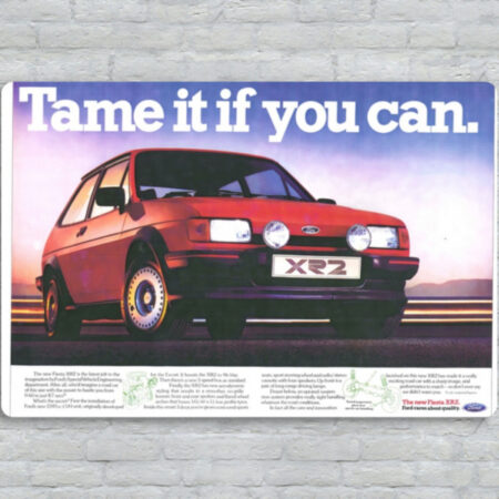 XR2 Tame it if you can - Metal Plate Print 30cm x 20cm (Landscape)