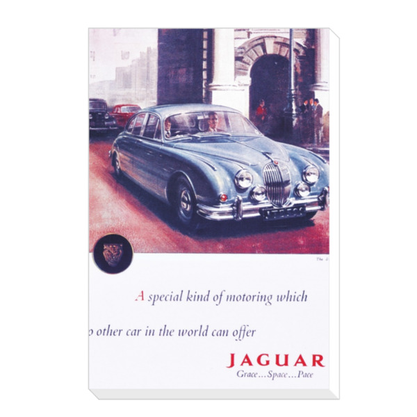 Jaguar Grace Space Pace - Canvas Print 12"x18" (Portrait)