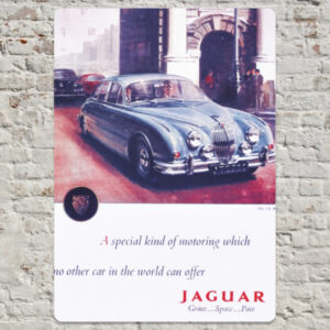 Jaguar Grace Space Pace - Metal Plate Print 20cm x 30cm (Portrait)