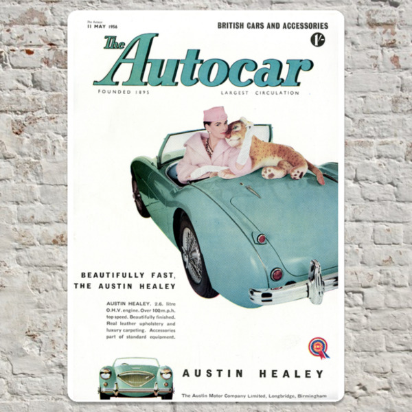 1956 Austin Healey 3000 - Metal Plate Print 20cm x 30cm