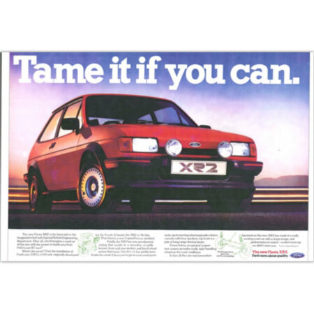 XR2 Tame it if you can - Art Poster (Landscape)