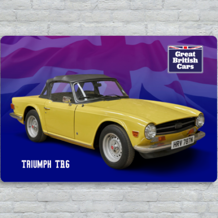 Triumph TR6 Metal Plate Print 30cm x 20cm