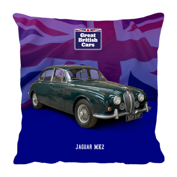 Jaguar MK2 18x18 Faux Suede Cushion with Stone Backing