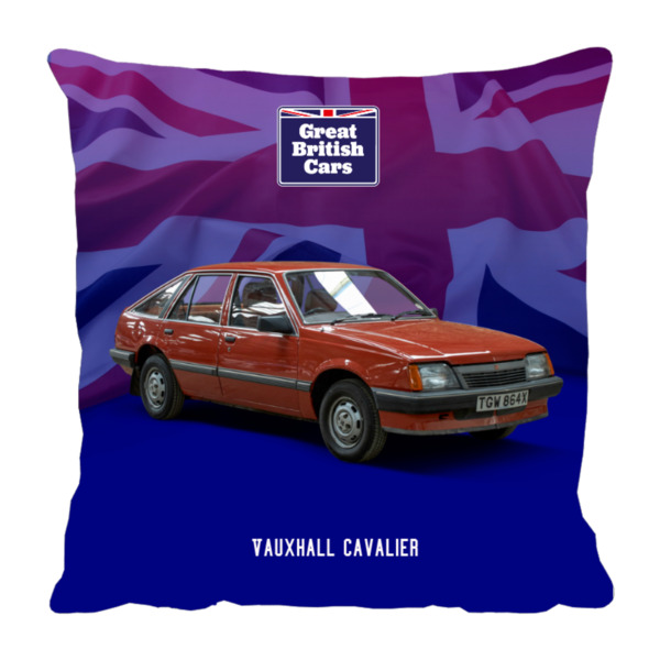 Vauxhall Cavalier 18x18 Faux Suede Cushion with Stone Backing