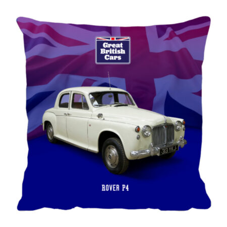 Rover P4 18x18 Faux Suede Cushion with Stone Backing